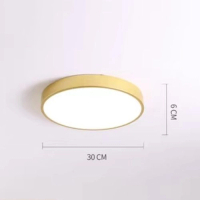 北歐馬卡龍天花吸頂燈(圓形金30CM) 