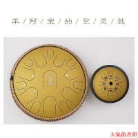 樂器20音雙鼓套裝 羊阿寶同款 空靈鼓  魯儒空靈鼓初學者