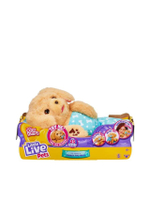 ตุ๊กตา Llp Cozy Dozys S3 Sgl Pk Char สีน้ำตาลอ่อน