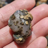 1pcs/lot Peculiar Gobi Agate Rough Stone Collectibles Unique World Treasure Magical Strong Energy Amulet Pendant Small Size diy