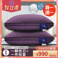 【Hilton 希爾頓】沉醉紫羅蘭銀離子100%萊賽爾60支紗獨立筒枕/買一送一/紫色(枕芯x2+枕套x2/萊賽爾枕/枕頭)(B0117-L)(買1送1)