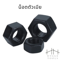 น็อตตัวเมียสีดำ น็อตหกเหลี่ยม M5-24 น๊อตดำหกเหลี่ยม น็อตเหล็กดำอย่างดี