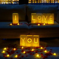 Homemory Will You Marry Me Light Up Letters Proposal Decorations with Flameless Candles and Fake Ros