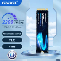 GUDGA SSD Nvme M2 1TB 512GB 256GB 128GB Pci-e 3.0x4 SSD Nvme Internal Solid State Disk Hard Disk For PC Laptop Computer