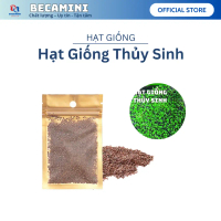 Hạt giống cây thủy sinh , hạt giống cây thủy sinh dùng trải nền cho hồ cá thủy sinh