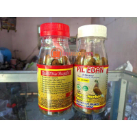 PIL EDAN MERPATI BALAP & KOLONGAN