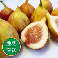 【果物配】有機轉型期新鮮無花果_1盒(600g/盒)