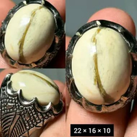EST. JARI 8 - 9 NATURAL CINCIN BATU AKIK FOSIL KELOR BAMBU KENDIT
