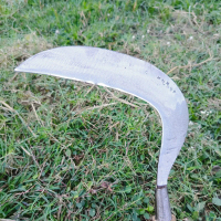 sabit rumput baja putih arit pengaritan sudah dikancing paku anti lecek