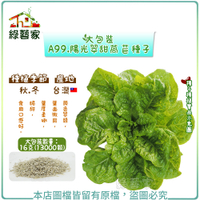 【綠藝家】 大包裝A99.陽光翠甜萵苣種子16克(13000顆)