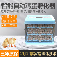 【最低價】【公司貨】孵化器小雞孵蛋器孵化機全自動小型家用型智能孵蛋機孵小雞的機器