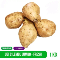 Ubi Madu Cilembu 1 Kg JUMBO Telo madu 1000 gram Besar Kecombrang Bulet seperti digambar