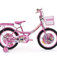 Sepeda Anak United Mini 18 inch Twist