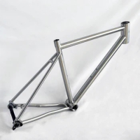 Titanium Alloy Gravel Road Bike Frame 700CX45C With UDH Dropout