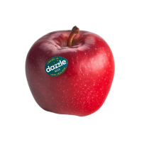 【阿成水果】紐西蘭Dazzle #80蘋果10粒/2.2kgx1盒(純淨_脆甜_無上蠟_冷藏配送)