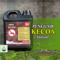 RACUN KECOA | OBAT PEMBASMI KECOA AMPUH 100%