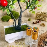 Botol Parfum Roll On Tola 6ml Tutup Emas/Botol Oles/Refill Isi Parfume Arabian/Harga Per 12pcs(1lusi