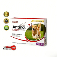 【Buy 3 get 1 free】[Stok Asli Care4U] Antinol EAB 277 for Dogs | 1 Box/60 Capsules | Increase mobilit