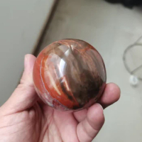 6-7cm Natural Madagascar Petrified wood ball polishing quartz crystal Petrified wood ball ball healing reiki energy 1pcs
