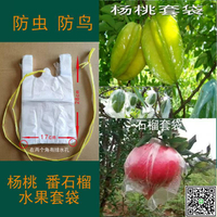 番石榴芭樂網套袋外袋楊桃套袋番保護袋芭樂透氣薄膜水果防蟲袋-UM.有米家居