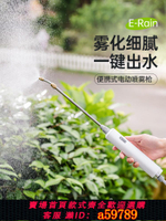 【台灣公司 可打統編】電動噴霧器噴霧槍水槍噴壺澆水澆花神器水壺打藥噴水噴槍霧化噴頭