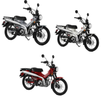 【HONDA 本田】CT125 ABS 2025/白/灰/紅(125CC/白牌檔車/普洛吉村重機/平輸車)