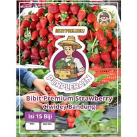 Bibit Premium Strawberry Ciwidey Bandung |Biji Bibit Stroberi Bandung| Strobery