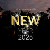【野思】大型60cm 新年靜電貼/窗貼- NEW YEAR 2025(過年聖誕佈置)