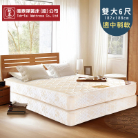 【德泰 歐蒂斯系列】連結式軟式 彈簧床上+下墊-雙大6尺(送保潔墊+抗菌對枕)