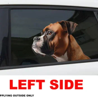Boxer Dog car sticker , German Boxer sticker, boxer dog decal