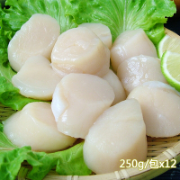新鮮市集 北海道生食級特大滿足鮮干貝12包(250g/包)
