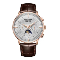 Reef Tiger Men Automatic Watch 42mm Luxury Watch Mechanical Wristwatch Luminous Sapphire Mirror Year,Month,Week,Date