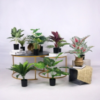 桌面盆景客廳裝飾落地塑料假花擺設仿真植物小龜背仿真綠植小盆栽