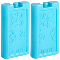 《IBILI》長方保冷劑2入(380ml) | 冰袋 保冰磚 保冰劑