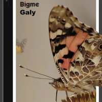Bigme Galy-lector de libros electrónicos pantalla a color de 8 pulgadas 300PPI 6 + 128G, 8 núcleos, sistema Android 11 cámara