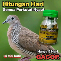 Jamu Herbal Perkutut GACOR MANGGUNG isi 100 Pil Perkutut sehat gacor manggung bocor camu jos jpj kid