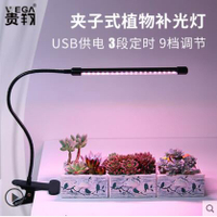 貴翔多肉補光燈USB夾子式上色全光譜LED花卉盆景植物燈生長燈 交換禮物