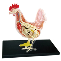 Red And White Chicken 4D Master Puzzle Assembling Toy Animal Biology Organ Anatomical Teaching Model Anatomy