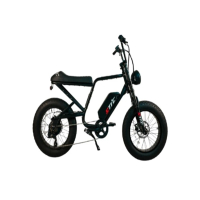 【STICK】20吋電動輔助胖胎車 全地形寬胎電車 越野助力自行車 戶外電動車 台灣製造