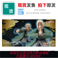 {可刷卡 打統編}現貨 萬代 SHF 火影忍者 疾風傳 傳說中的醫療忍者 綱手 成品模型
