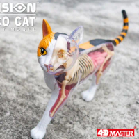 4D Vision Calico Cat Animal Organ Anatomy Model Laboratory Education Equipment 4D Master Puzzle Assembling Toy