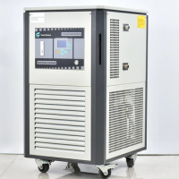 -80 80 C Low Temperature Chiller Refrigerated Circulator Lab Scale RE Circulating Chiller DLSB -80C 80C Laboratory Chiller