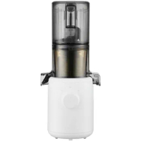 Hurom H310A Personal Self Feeding Slow Masticating Juicer (H310A White)