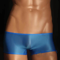 Men Trunks Sexy Brief Low Rise Ultra-thin Pouch Jockstrap Underwear Translucent Sexy Boxer Brief Bikini Slip Homme