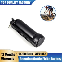 Cuttle Ebike Battery 24V 10Ah 15Ah Reention Electric Bike AKKU 36v 10ah for Hurley Kickflip Hybrid E-bike