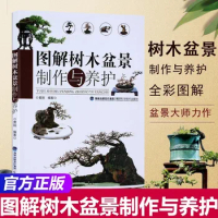 Illustrated Tree Bonsai Making And Maintenance Flower Raising Books Bonsai Bonsai Flower Horticultural Design