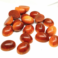 Mata cincin kayu stigi laut original asli tenggelam / akik santigi