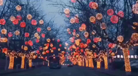 LED藤球燈掛樹上的燈戶外防水節日裝飾街道公園圣誕亮化圓球彩燈