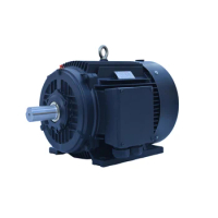 High Quality TYP160M1-6 7.5KW TYP Series Specially Designed induction three phase ac motor with IP54/IP55