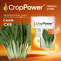 Limited Edition TOP RATED (50 GRAM) Jumbo Green Seeds CX9 CROP POWER F1 Hybrid Caixin seeds